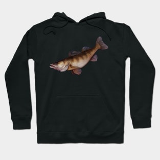 Zander Hoodie